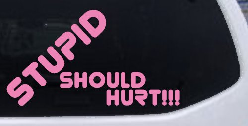 Stupid Should Hurt Funny Car or Truck Window Decal Sticker (Pink)