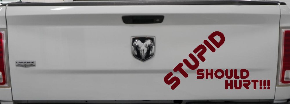 Stupid Should Hurt Funny Decal - Car Truck Window Vinyl Sticker (Purple Red)
