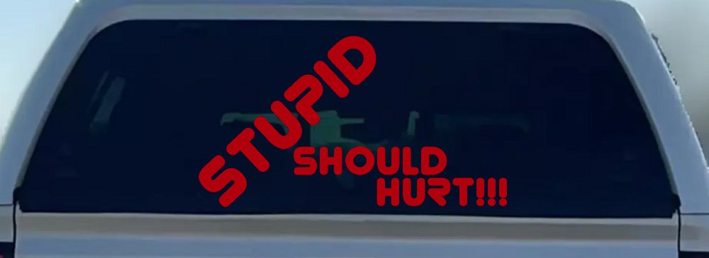 Stupid Should Hurt Funny Car or Truck Window Decal Sticker (Red)
