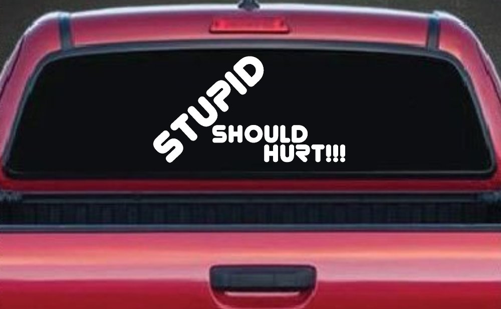Stupid Should Hurt Funny Car or Truck Window Decal Sticker (White)