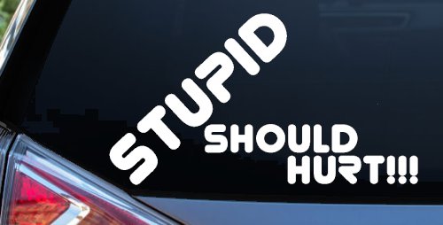 Stupid Should Hurt Funny Car or Truck Window Decal Sticker (White)