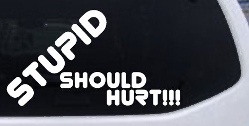 Stupid Should Hurt Funny Car or Truck Window Decal Sticker (White)