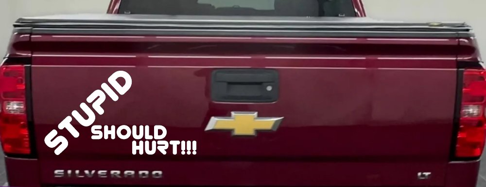 Stupid Should Hurt Funny Car or Truck Window Decal Sticker (White)