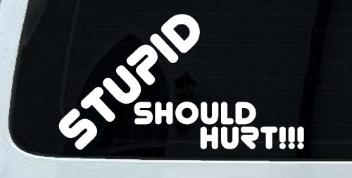 Stupid Should Hurt Funny Car or Truck Window Decal Sticker (White)