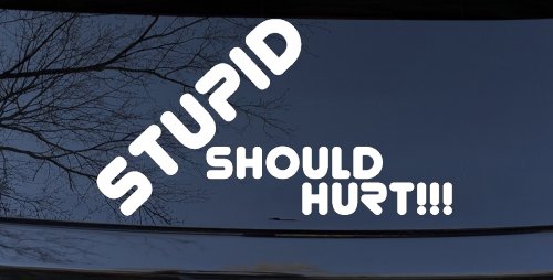 Stupid Should Hurt Funny Car or Truck Window Decal Sticker (White)