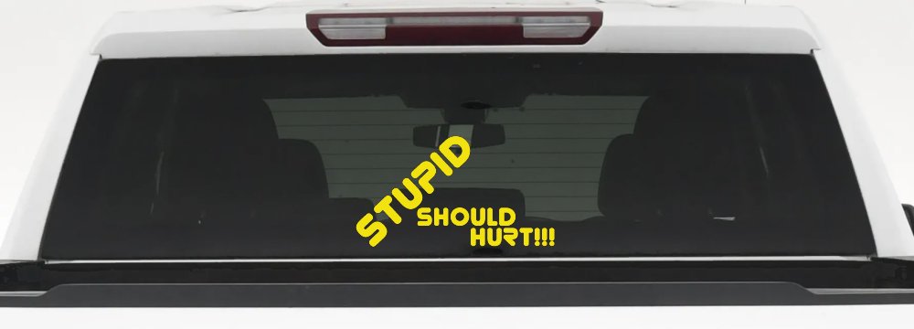 Stupid Should Hurt Funny Car or Truck Window Decal Sticker (Yellow)