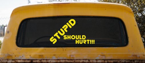 Stupid Should Hurt Funny Decal - Car Truck Window Vinyl Sticker (Yellow)