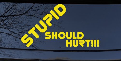 Stupid Should Hurt Funny Car or Truck Window Decal Sticker (Yellow)