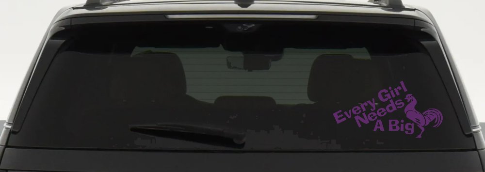 Every Girl Needs A Big Rooster Cock Funny Car or Truck Window Decal Sticker (Violet)