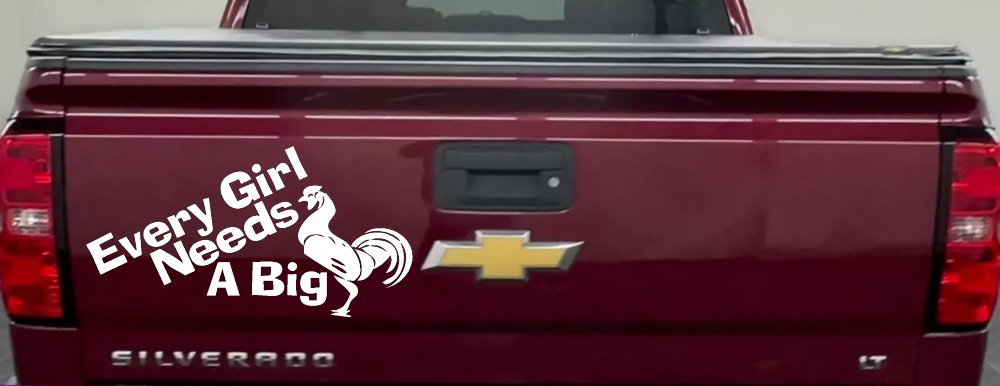 Every Girl Needs A Big Rooster Cock Funny Car or Truck Window Decal Sticker