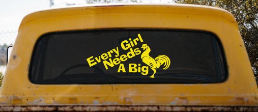 Every Girl Needs A Big Rooster Cock Funny Car or Truck Window Decal Sticker