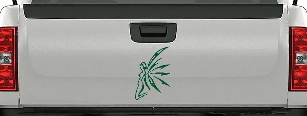 Tribal Fairy Car or Truck Window Decal Sticker (Dark Green)