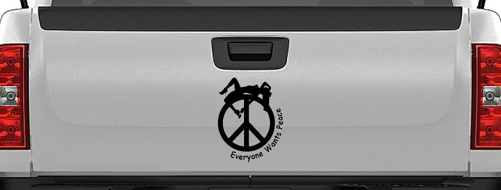 Everyone Wants Peace Car or Truck Window Decal Sticker