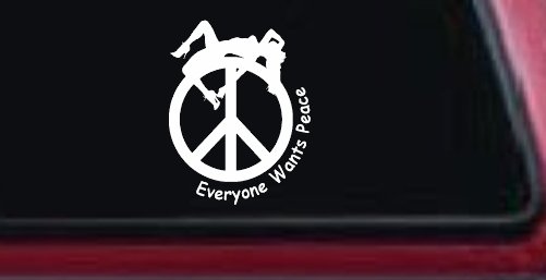 Everyone Wants Peace Car or Truck Window Decal Sticker