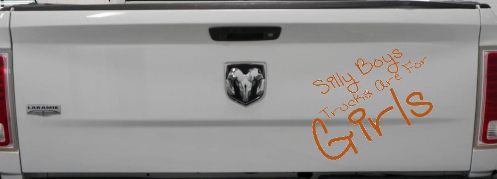 Silly Boys Trucks Are For Girls Car or Truck Window Decal Sticker (Nut Brown)