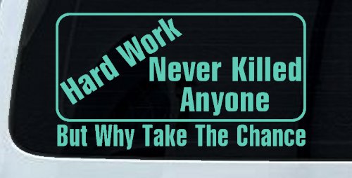Hard Work Funny Car or Truck Window Decal Sticker (Mint)