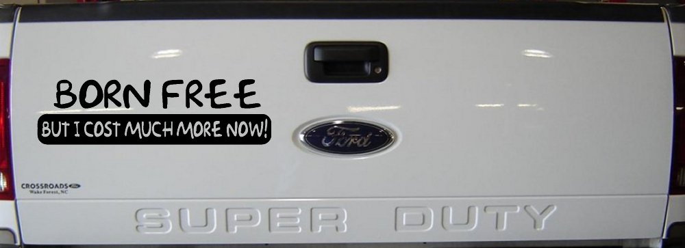 Born Free But I cost Much More Now Funny Car or Truck Window Decal Sticker (Black)