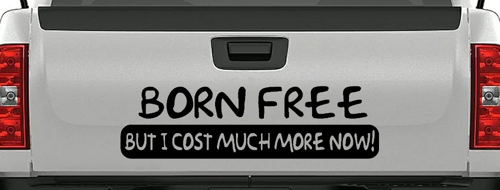 Born Free But I cost Much More Now Funny Car or Truck Window Decal Sticker