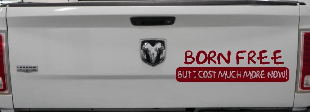 Born Free But I cost Much More Now Funny Car or Truck Window Decal Sticker