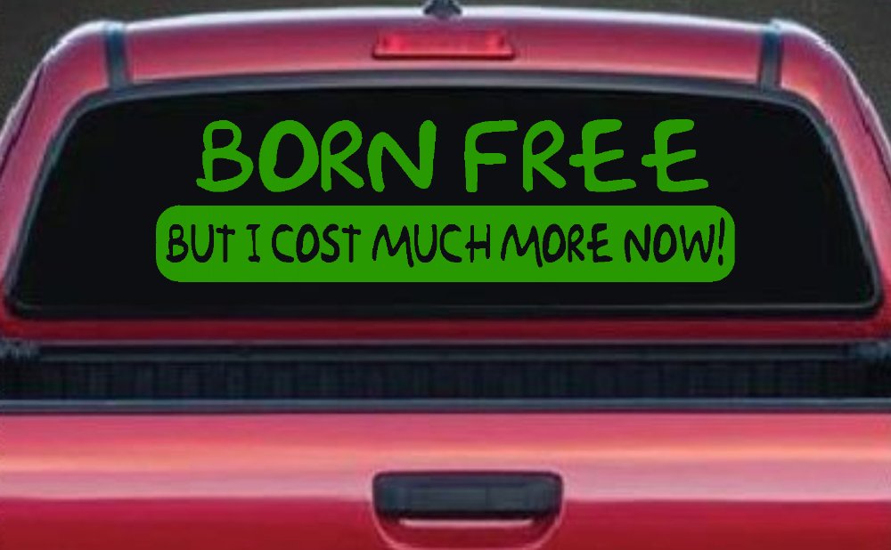 Born Free But I cost Much More Now Funny Car or Truck Window Decal Sticker (Lime)