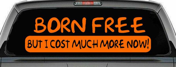 Born Free But I cost Much More Now Funny Car or Truck Window Decal Sticker (Orange)