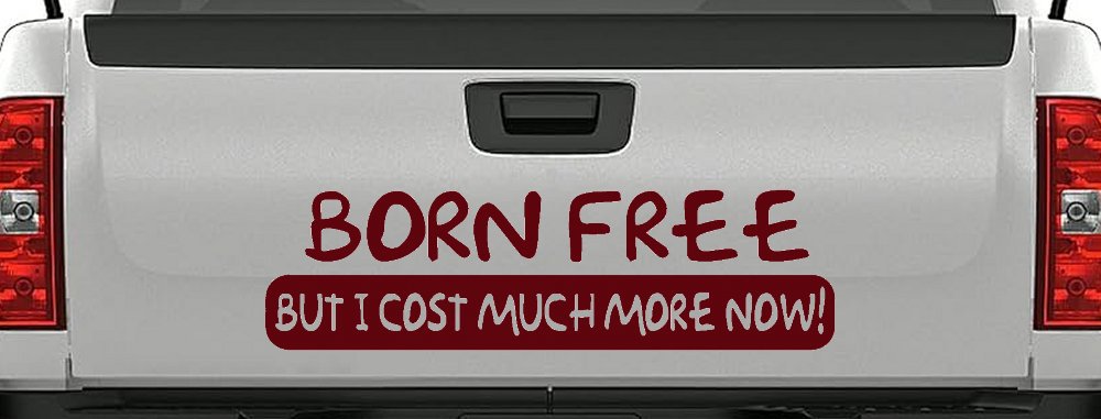 Born Free But I cost Much More Now Funny Car or Truck Window Decal Sticker (Purple Red)