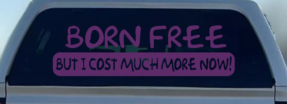 Born Free But I cost Much More Now Funny Car or Truck Window Decal Sticker (Violet)