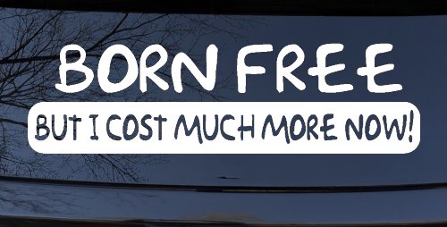 Born Free But I cost Much More Now Funny Car or Truck Window Decal Sticker