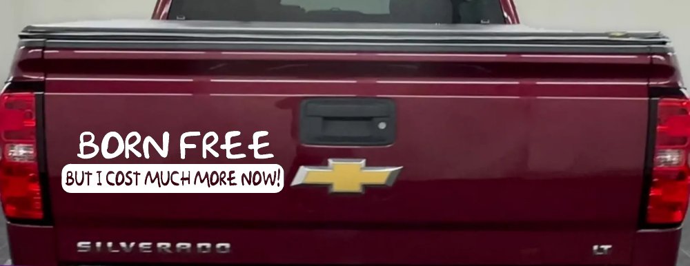 Born Free But I cost Much More Now Funny Car or Truck Window Decal Sticker (White)