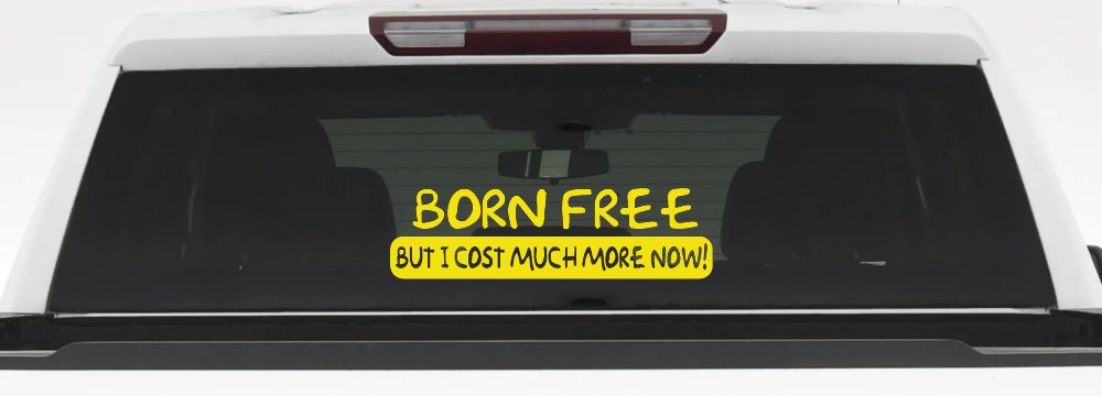 Born Free But I cost Much More Now Funny Car or Truck Window Decal Sticker (Yellow)