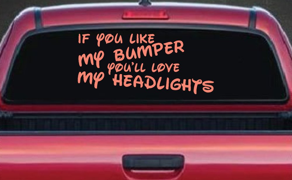 Like My Bumper (Coral)