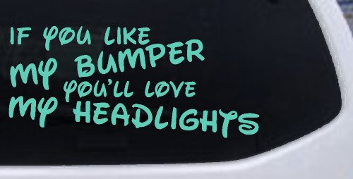 If you like my bumper youll love my headlights Car or Truck Vinyl Window Decal Sticker (Mint)