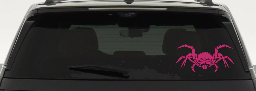 Spider Animals Car or Truck Window Decal Sticker (Hot Pink)