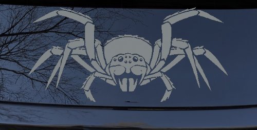 Spider Animals Car or Truck Window Vinyl Decal Sticker (Telegrey)