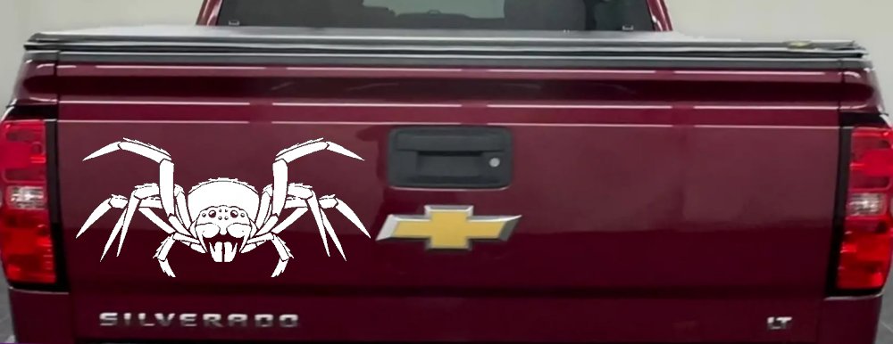 Spider Animals Car or Truck Window Decal Sticker