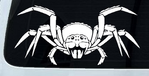Spider Animals Car or Truck Window Decal Sticker (White)