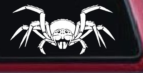 Spider Animals Car or Truck Window Decal Sticker (White)