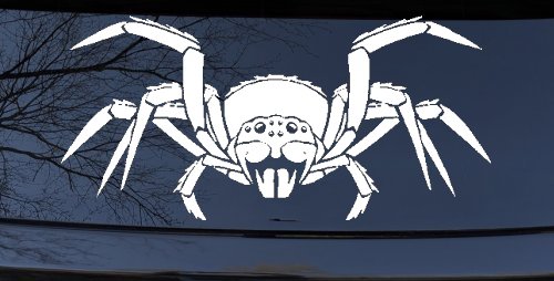 Spider Animals Car or Truck Window Decal Sticker