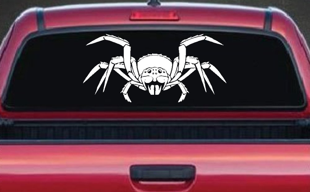 Spider Animals Car or Truck Window Decal Sticker (White)