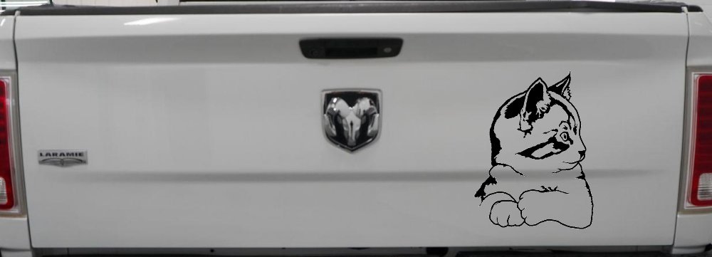 Cute Kitten Cat Decal for Car or Truck Window Sticker Vinyl (Black)