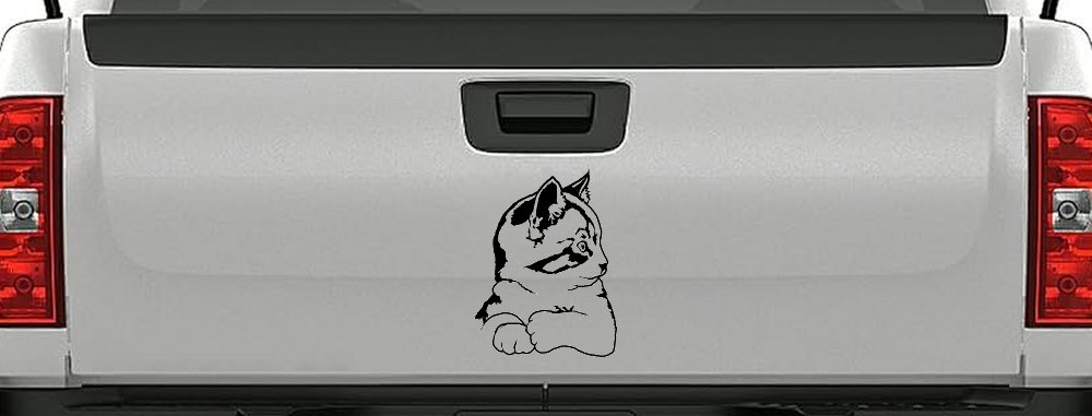 Kitten Cat Car or Truck Window Decal Sticker (Black)