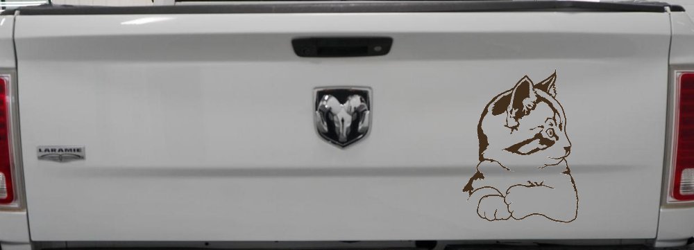 Kitten Cat Car or Truck Window Decal Sticker