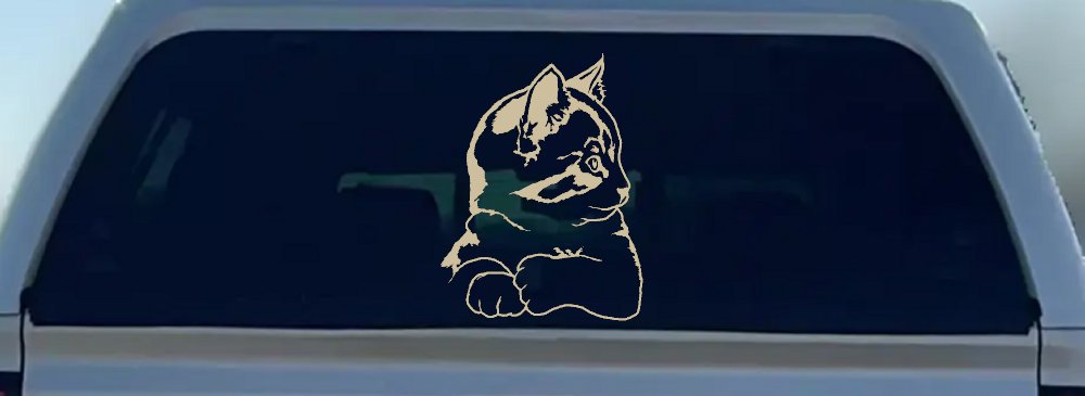 Kitten Cat Car or Truck Window Decal Sticker