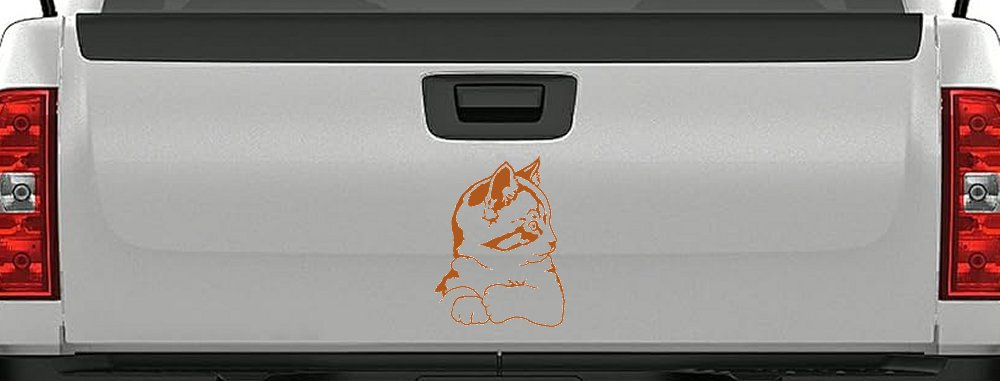 Kitten Cat Car or Truck Window Decal Sticker (Nut Brown)