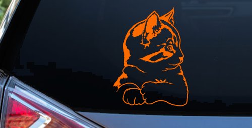 Kitten Cat Car or Truck Window Decal Sticker (Orange)