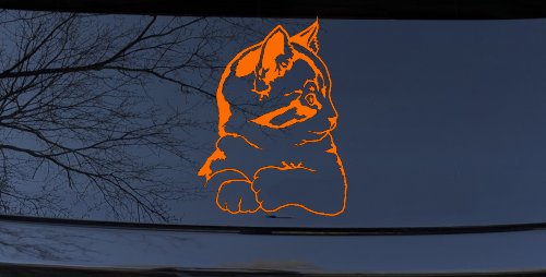 Kitten Cat Car or Truck Window Decal Sticker (Orange)