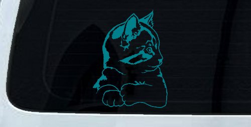 Kitten Cat Car or Truck Window Decal Sticker