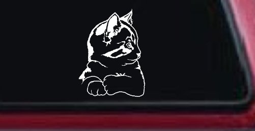 Kitten Cat Car or Truck Window Decal Sticker (White)