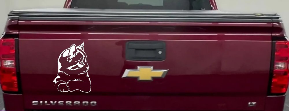 Kitten Cat Car or Truck Window Decal Sticker