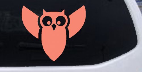 Native American Indian Owl Car or Truck Window Decal Sticker